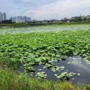 01-23 동구 이미지