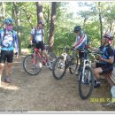 거북이주유소 이미지