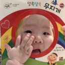 엄마와 8개월 아기 다 좋아하는 훈민출판사 베이비 드림북 16권 내돈내산 후기