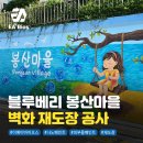 화산마을기업(주) | 나노페인트로 바뀐 블루베리 봉산마을 벽화 재도장 시공후기(feat.동영상)