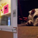 하나 호스텔 이미지