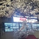 락복싱클럽 이미지