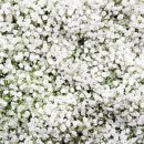 공간꽃조경 이미지