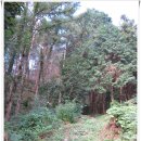 추동교 | [20120801~09]때론 함께 때론 홀로 '지리산 둘레길 전구간 한꺼번에 이어걷기' 8일차 - 1부