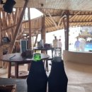 발리노래클럽 | 핀스 비치 클럽:: 핫한 발리 비치클럽 후기