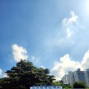 선소관광안내소 네이버블로그
