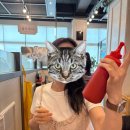 파주파전 | 식당 방문 후기 / 파주 해물칼국수 해물파전 김치만두 맛집 복많네 해물칼국수