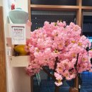 씨유창원어반브릭스점 | 창원 중동 어반브릭스 맛집 카쿠레가 내돈내산