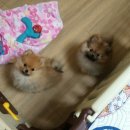 더노아하우스 이미지