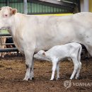 국립축산과학원