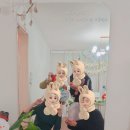 다운동 공간대여 크리스마스파티 울산파티룸시크릿
