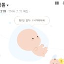 현대종합광고 - 횡성군 | [태아보험] 현대해상 굿앤굿어린이종합보험 가입 후기(광고X)