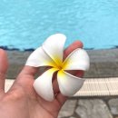 호텔서락 | 방콕 이심 eSIM 로컬망 무제한 데이터 최저가 구매 꿀팁