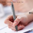 모나미주
