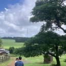 봉성목장 이미지