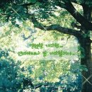 운제당한의원 이미지