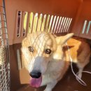 군북119안전센터 이미지