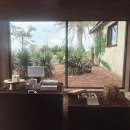 인스밀 | 서귀포 대정카페 제주 비오는 날 갈 만한 카페 인스밀 후기