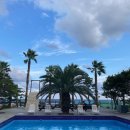 제주도 게스트하우스 파티 빅썸 이미지