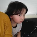 슬기로운어촌생활 네이버블로그