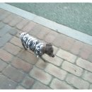 엄마손동물병원 이미지