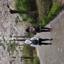 약령공원(시장) 이미지