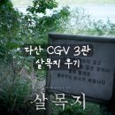 [리뷰] 박스오피스1위 살목지 후기 및 쿠키 다산 CGV 3관 자리 추천