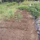 경용농장 이미지