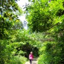 송당본향당 이미지