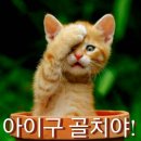 심심풀이 이미지