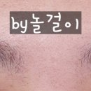 늘예쁨눈썹