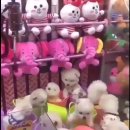 인형뽑기 이미지