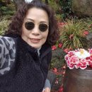 일동수목원 이미지