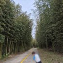 와룡지구 | 진주 가볼만한곳, 무료 캠핑 가능한 금산 와룡지구 후기