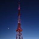 (주)이주데코 | 2025년 6월 넷째 주 기록(06.23~06.29)