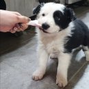 양지농장1 이미지