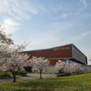 야생화단지내 | [인천 벚꽃 명소] 드림파크 야생화단지 드림파크 벚꽃축제 벚꽃 현황(2026.4.13)