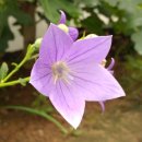 팔공노인복지관 이미지