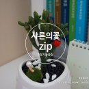 샤론의꽃zip