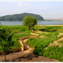 중앙체육공원 농구장 이미지