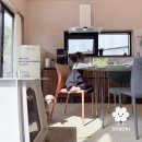 반스힐리조트 | 홍천 반스힐리조트 애견동반 후기