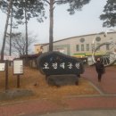 고강주먹고기