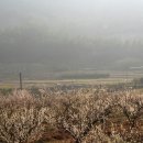 섬진강 망덕포구 이미지