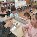 갈월초등학교 이미지