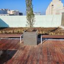 삼화초등학교 이미지