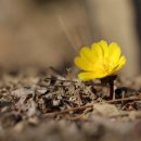 경상남도 수목원 이미지