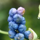 배꼽 - 예산군 산성공원2길 11 | 배꼽