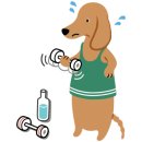 건강메디칼약국 이미지