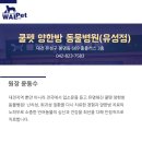 쿨펫 양한방 동물병원 이미지