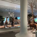 한탄강 유원지4 이미지